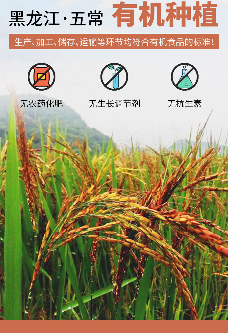 红米_07.jpg