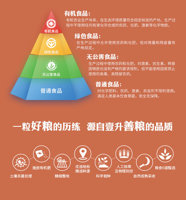 红米_10.jpg