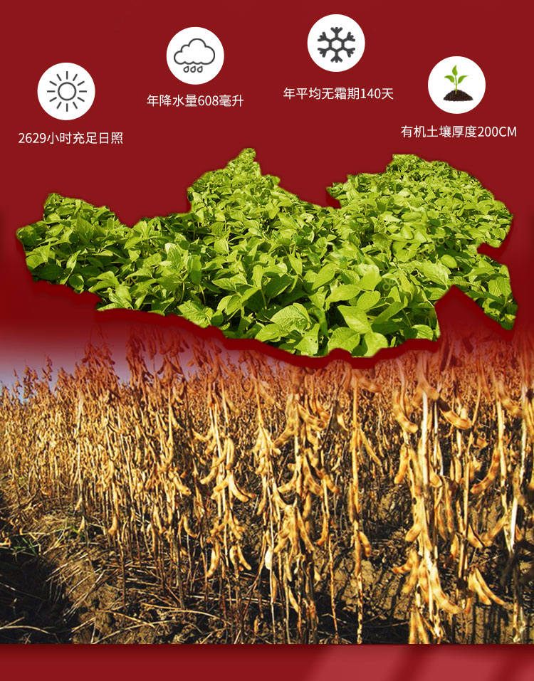 有机蛋白豆详情页_08.jpg