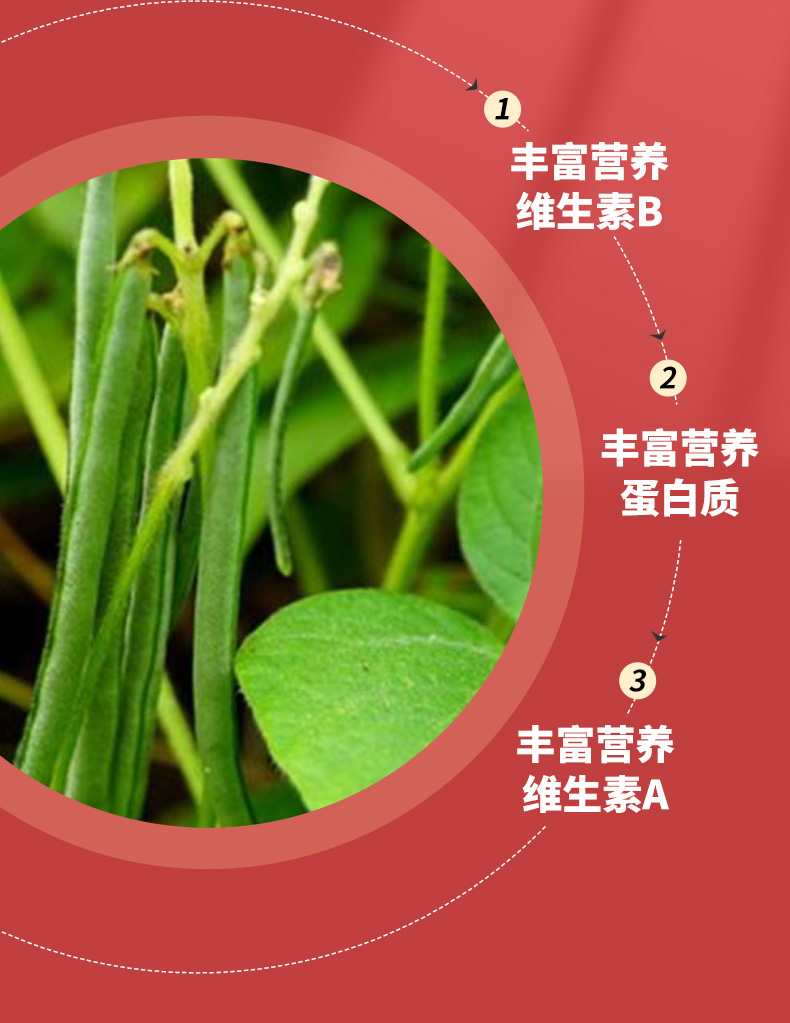 有机红豆_04.jpg