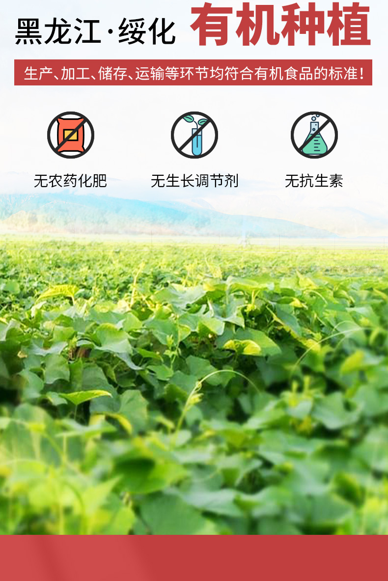 有机红豆_08.jpg