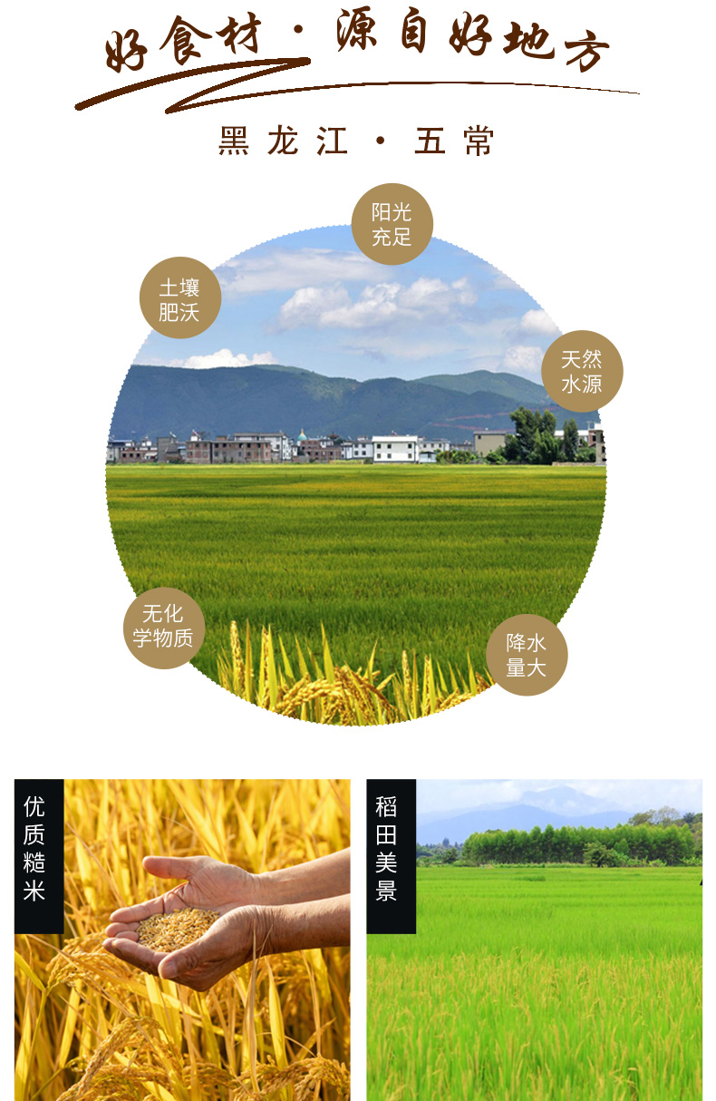 有机糙米_06.jpg