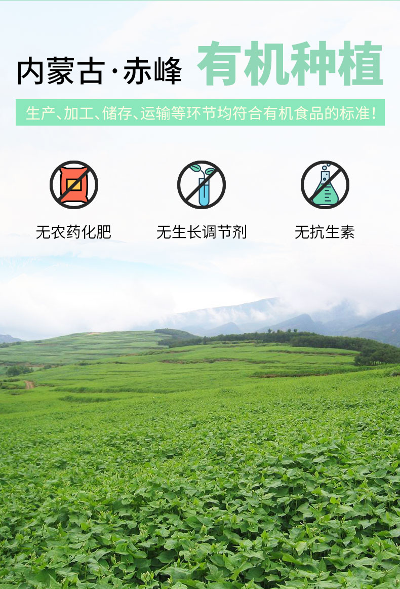 荞麦米_08.jpg