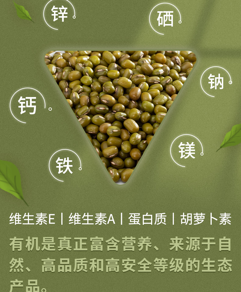 有机绿豆_04.jpg