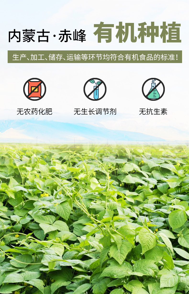 有机绿豆_09.jpg