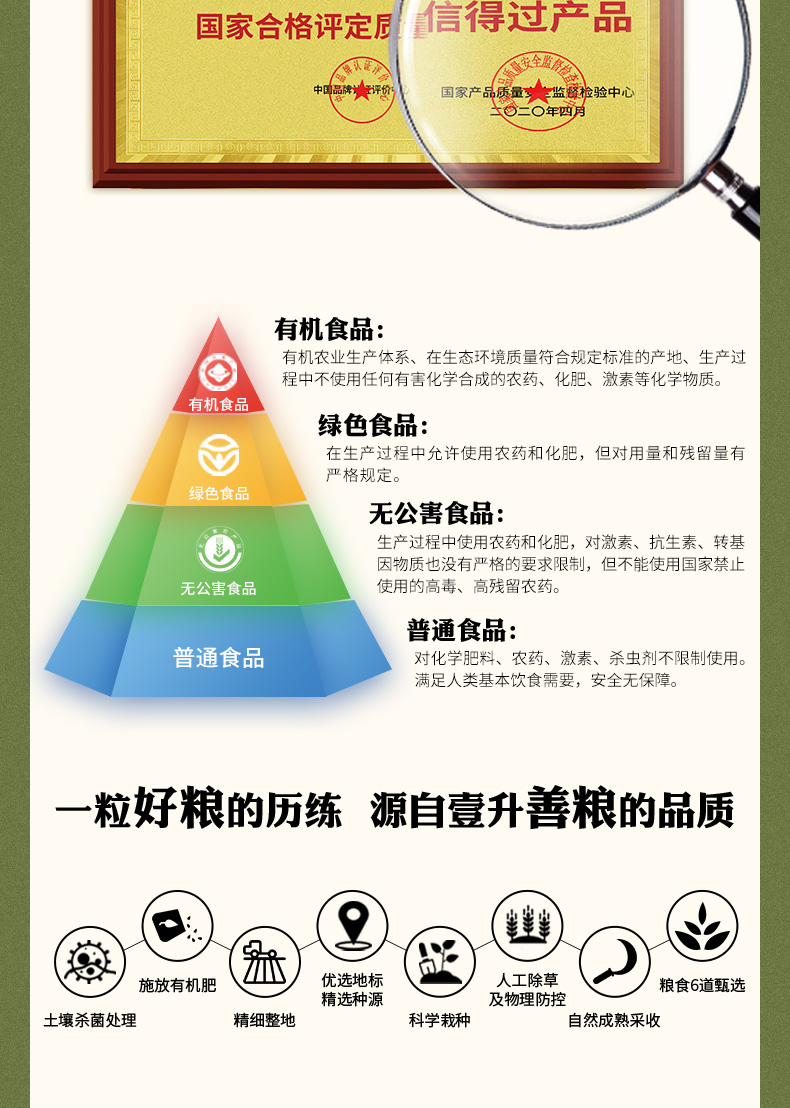 有机绿豆_12.jpg