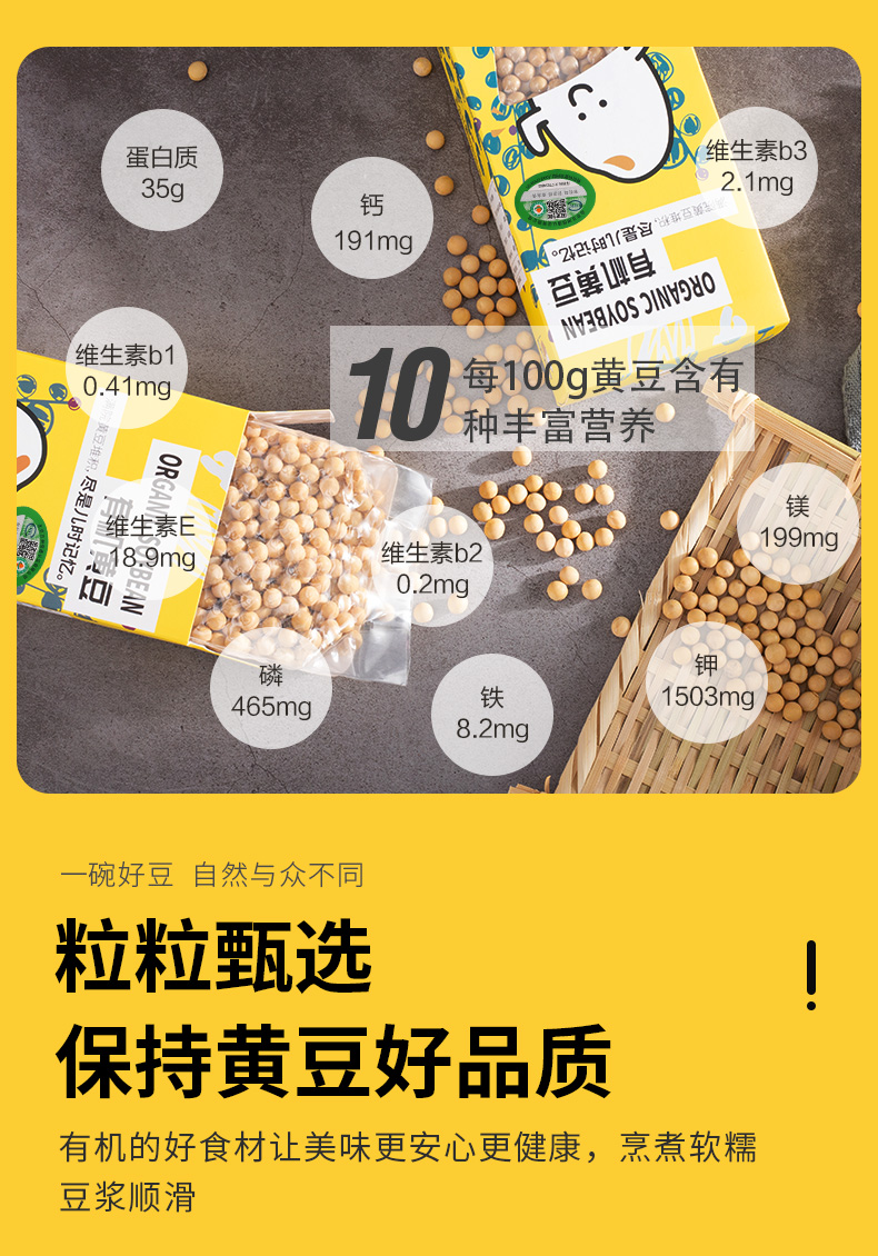 黄豆_03.jpg