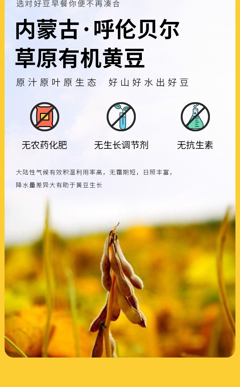 黄豆_06.jpg