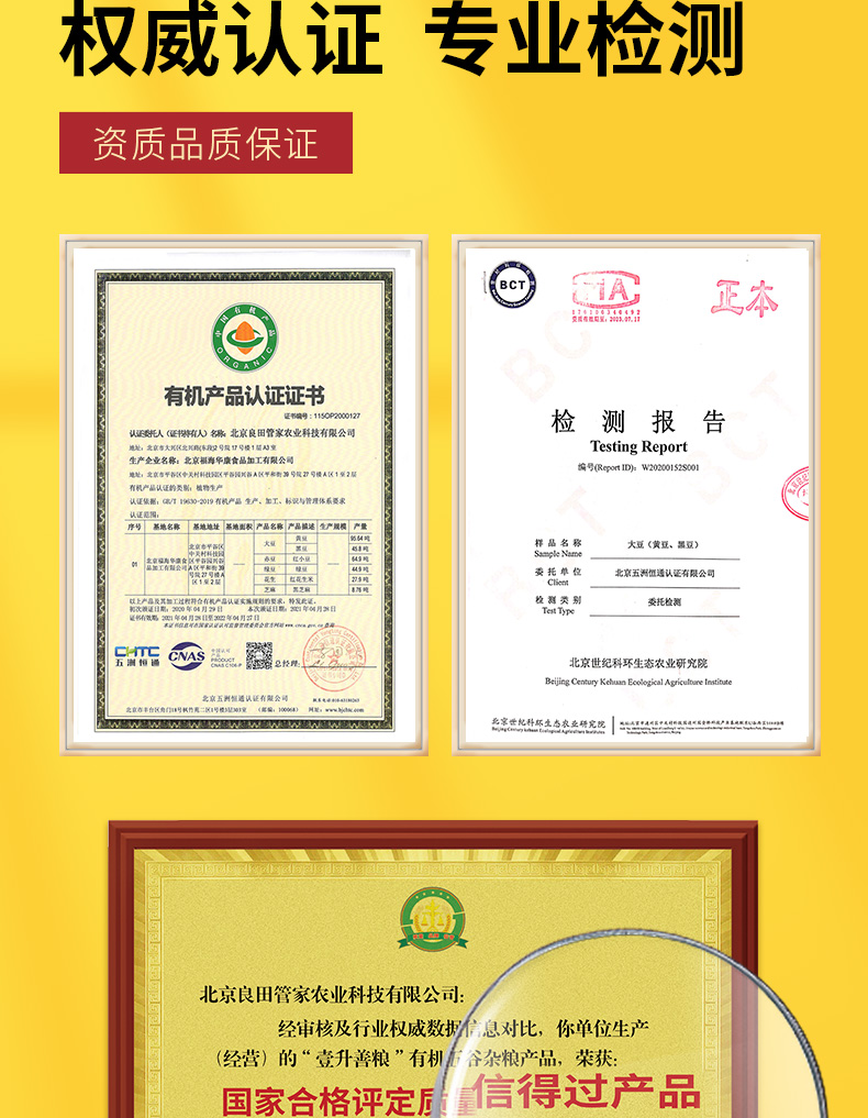黄豆_08.jpg