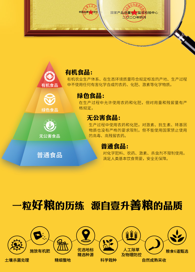 黄豆_09.jpg