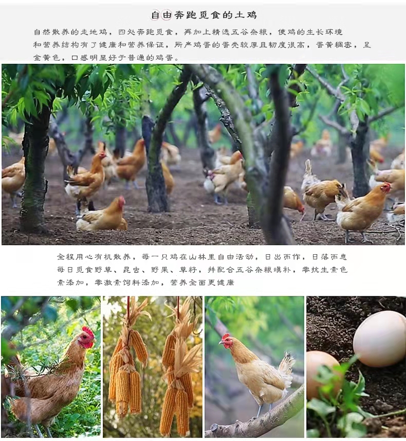微信图片_202109301609345.jpg