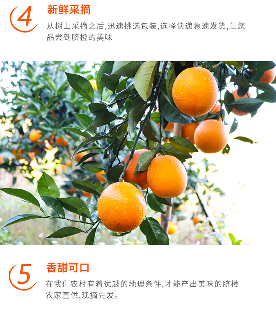 578c000496ff93ff.jpg