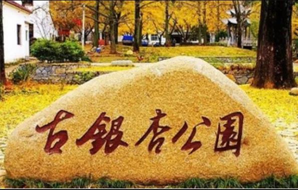 【浪漫金秋】368元/人湖州轻奢纯玩2日游